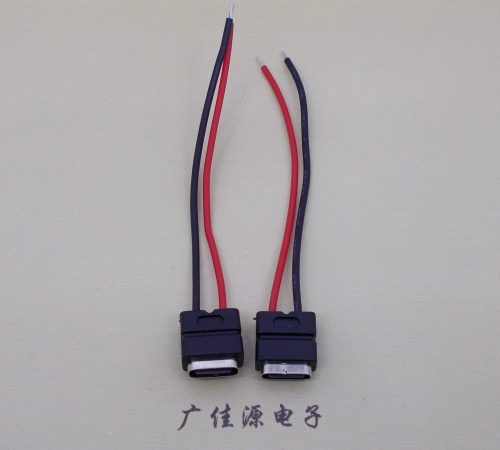 湖北type c2p防水母座焊线式带线注塑成型带接线端子/不带接线端子充电连接器